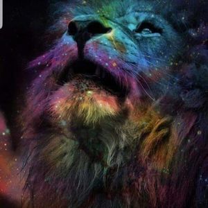 Meet your Posher, Corey